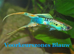 VoorkeursZonesBlauw
