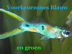 VoorkeursZonesBlauwEnGroen