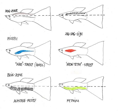 HorizontaleSegmenteringTypes