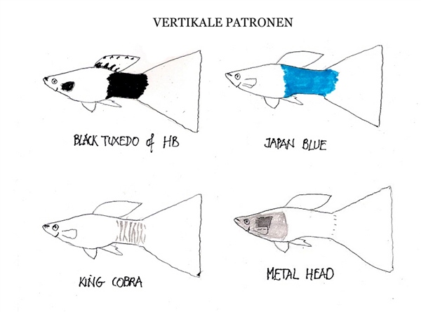 Guppy_VertikalePatronen_MetTitel