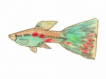BlauweDeltaMetBeetjeRood_Tekening