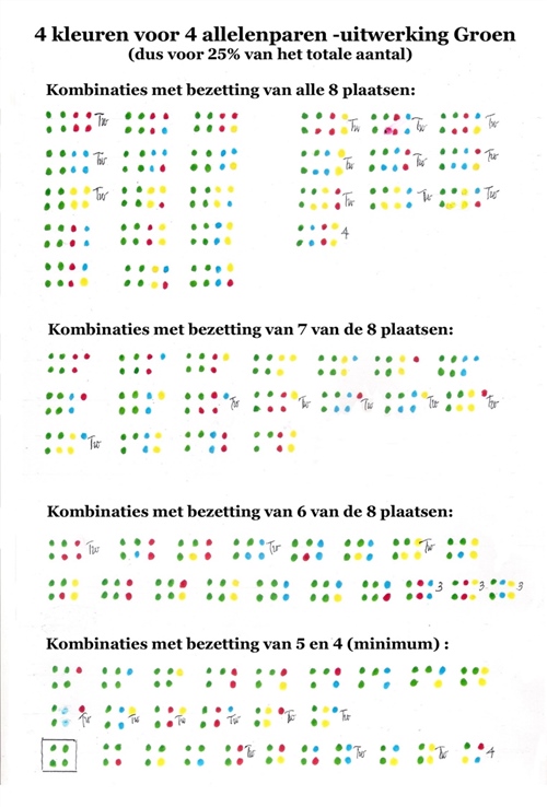 4KleurenVoor8Allelenparen_UitwerkingGroen