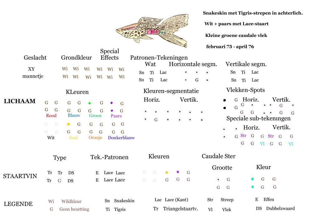 GenetiesPaspoortGup_Voorbeeld