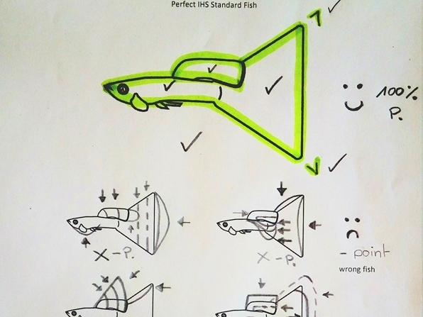 Perfection_VolkerSchmidt_600
