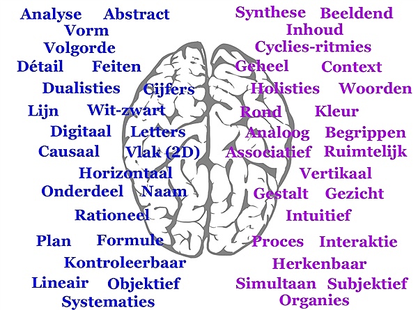 LinkerHersenhelftRechterHersenhelft_Denken_2