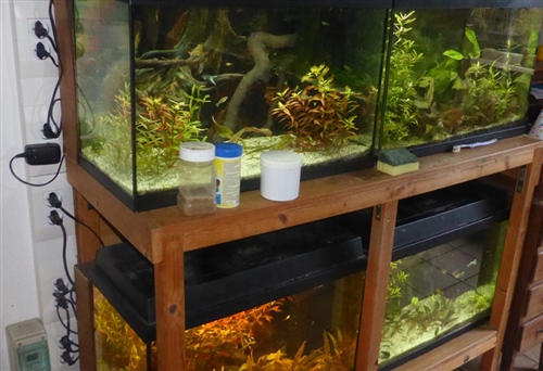 VierKleineAsquaria_22Januari2012